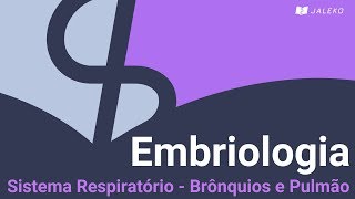 Embriologia Sistema Respiratório  Brônquios e Pulmão [upl. by Jenn]