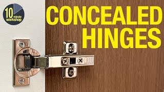 How to fit concealed Eurostyle hinges for overlay amp inset cabinet doors video  348 [upl. by Valina]