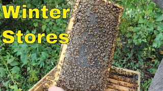 How Much Honey do Bees need for winter [upl. by Lontson]