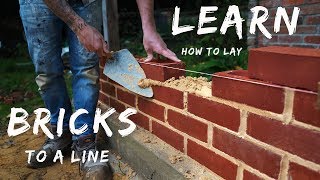 HOW TO LAY BRICKS TO A LINE Bricklaying for beginners ep7 [upl. by Emmi830]