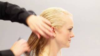 Aveda HowTo  Everyday Body amp Increased Volume for Fine Hair [upl. by Wenda]