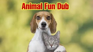 Animals Fun Dub  ShelVines [upl. by Nezah]