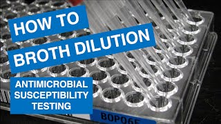 MIC Broth Microdilution Testing [upl. by Cob]