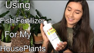 How To Use Liquid Fish Fertilizer For Your Summer HousePlants [upl. by Fidelia]