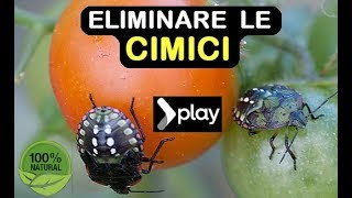 ELIMINARE LE CIMICI [upl. by Griswold]