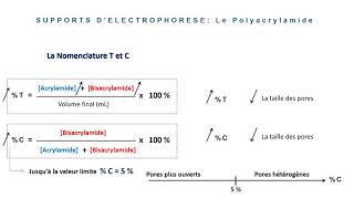 Lélectrophorèse Partie 2 [upl. by Solram]