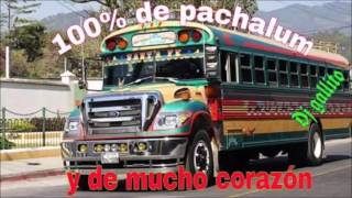 MARIMBA 502 EL TACUAZIN Estreno 2016 [upl. by Fiske466]