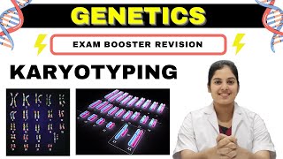 GENETICS  Karyotyping  Basics Procedure amp Application  MedSeed MBBS [upl. by Jordison]