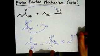 How to Make Esters Mechanism [upl. by Norred]