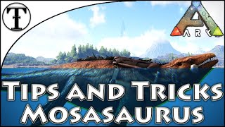 Fast Mosasaurus Taming Guide  Ark  Survival Evolved Tips and Tricks [upl. by Eneiluj]