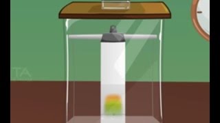 Paper Chromatography  MeitY OLabs [upl. by Rutherfurd]