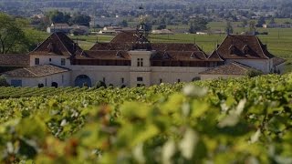 France’s SaintEmilion A red wine lover’s paradise [upl. by Duwalt]