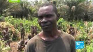 Pygmies endangered people [upl. by Carrew748]