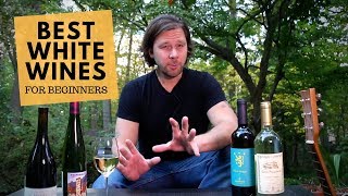 The Best White Wines For Beginners Series 2 Pinot Grigio [upl. by Spada]