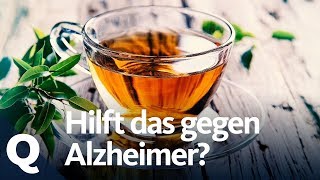 Grüner Tee Hoffnung für Alzheimer Patienten  Quarks [upl. by Ariella]