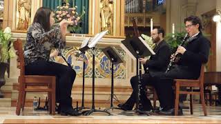 Adagio and Allegro WA Mozart Woodwind Quartet [upl. by Htebazileyram683]