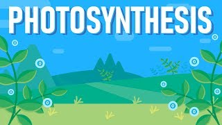 What is Photosynthesis [upl. by Ursel]