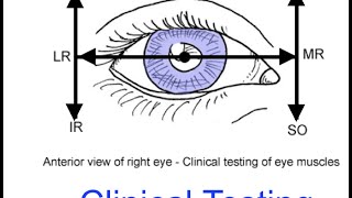 Clinical testing extraocular muscles tutorial [upl. by Alitha]