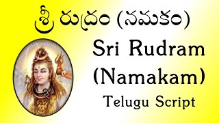 శ్రీ రుద్రం నమకం  Sri Rudram Namakam  Telugu Script  Yajur Veda  Sri K Suresh [upl. by Anivol436]