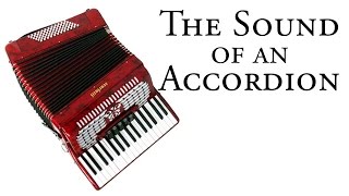 Sound of an ACCORDION [upl. by Ahael]