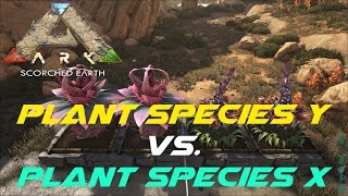 Plant Species Y vs Plant Species X  ARK Scorched Earth [upl. by Hsreh36]