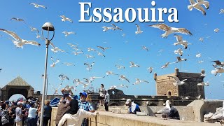 Morocco  Essaouira [upl. by Penney]