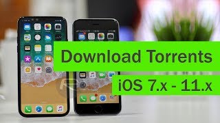 Download Torrents from iPhone iOS 9 10 and 11 Torrent Client [upl. by Llehcear]