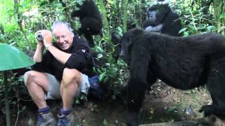 Extraordinary Encounter with Mountain Gorillas in Bwindi Uganda [upl. by Letnahs]