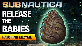 Making the Hatching Enzyme  SUBNAUTICA [upl. by Aennil]