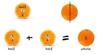 What is Half Fractions for Year 1 [upl. by Zizaludba]