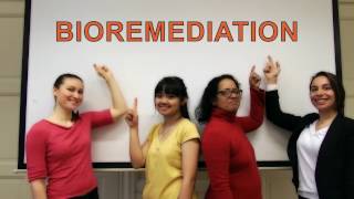 What is BIOREMEDIATION [upl. by Selena]