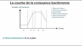 La croissance bactérienne [upl. by Ynaffat249]