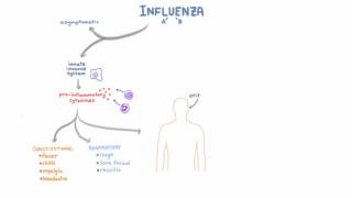 Influenza Infection  Clinical Symptoms and Presentation [upl. by Holtz]