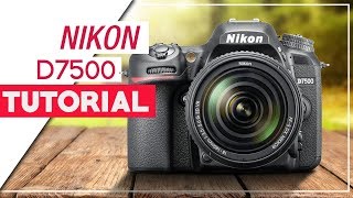 Nikon D7500 Tutorial  How To Setup Your DSLR [upl. by Schriever]