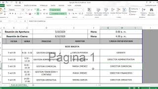 Ejemplo Plan de Auditoria Excel [upl. by Parthinia479]