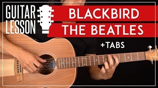 Blackbird Guitar Lesson 🎸 The Beatles Tutorial Fingerpicking  TAB [upl. by Rajewski]