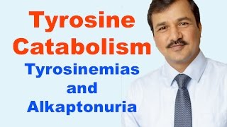 Tyrosine Metabolism Review [upl. by Elleirua]