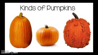 All About Pumpkins [upl. by Eugirne]