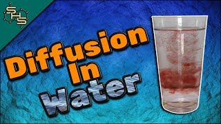 Diffusion of Food Colouring in Water [upl. by Aiekan]