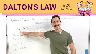 Daltons Law  Partial Pressures [upl. by Nannek481]