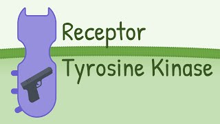 Receptor Tyrosine Kinase  MAPK Pathway [upl. by Dimitry]