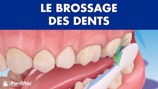 Comment brossage des dents correctement © [upl. by Dorthea]