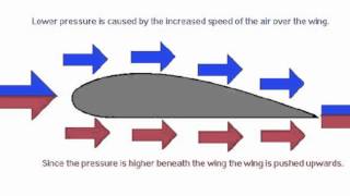 Bernoullis Principle [upl. by Bibby]