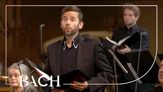 Bach  Zion hört die Wächter singen from Cantata BWV 140  Netherlands Bach Society [upl. by Nohtanoj956]