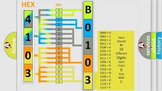 DTC Fiat B01031B Short Explanation [upl. by Penhall315]