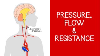 42 Cardiovascular Pressure Flow and Resistance [upl. by Aittam]