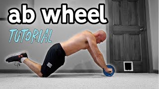 Ab Wheel For Beginners  Rollout Progression and Extra Exercises [upl. by Vita795]