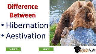 Difference Between Hibernation and Aestivation  Science  Hindi  Quikr Exam [upl. by Hameean]