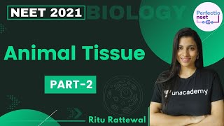 Animal Tissue  Part 2  NEET 2021  NEET Biology  Ritu Rattewal [upl. by Nakeber]