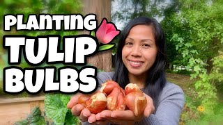 Planting Tulip Bulbs  How To Plant Flower Bulbs [upl. by Ailalue]